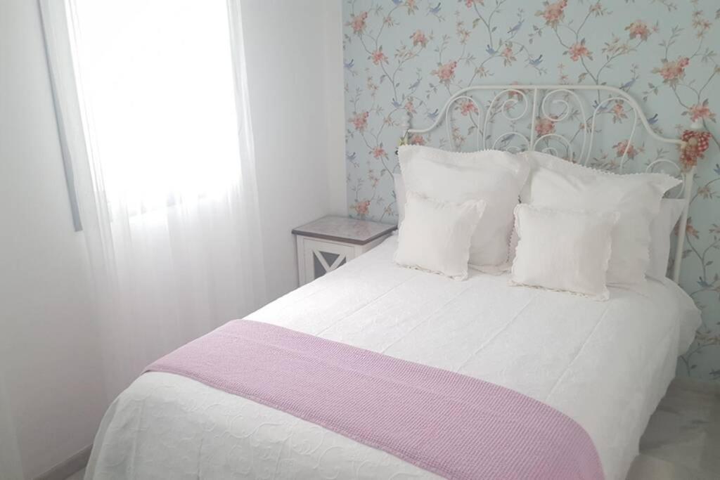 Apartment Alfareria *