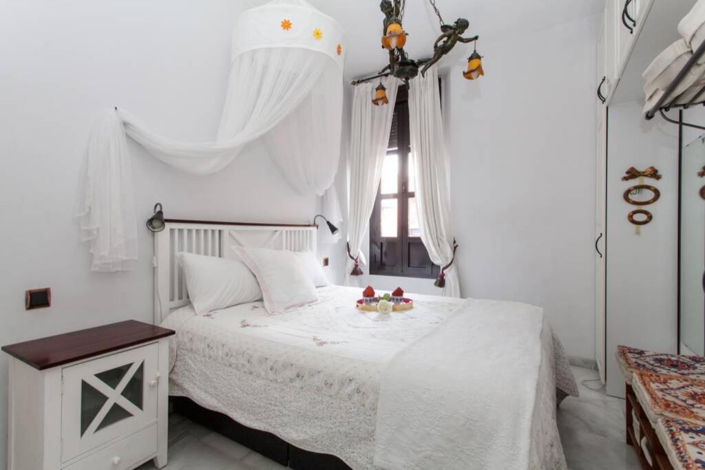 Apartment Alfareria *