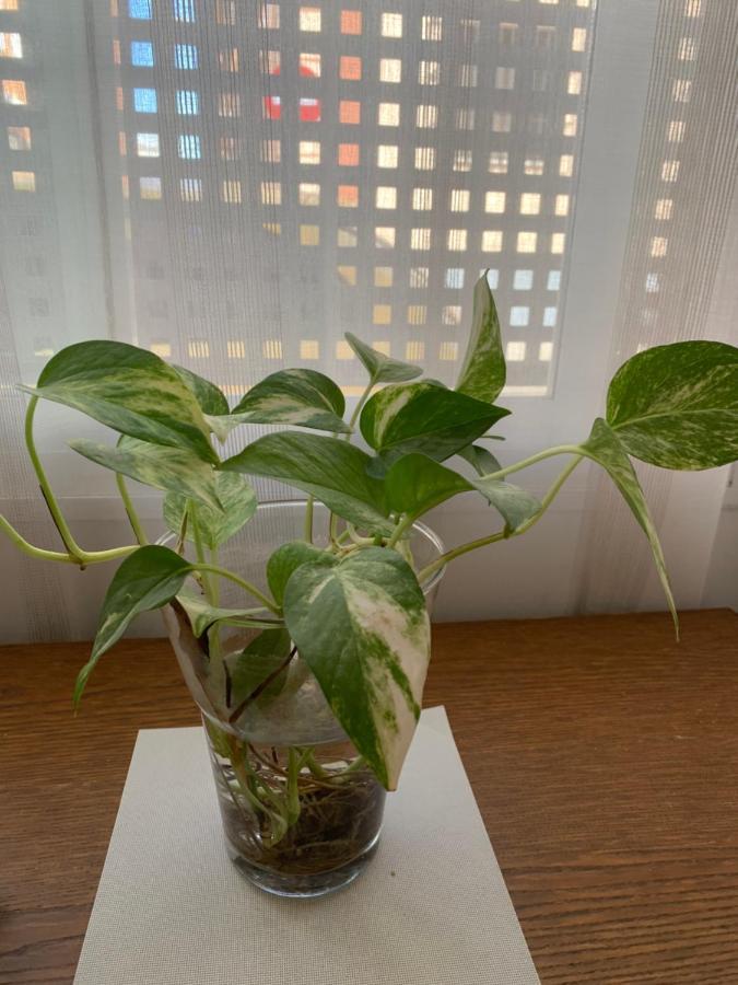 Apartamento Loft Funcional Cerca Del Centro