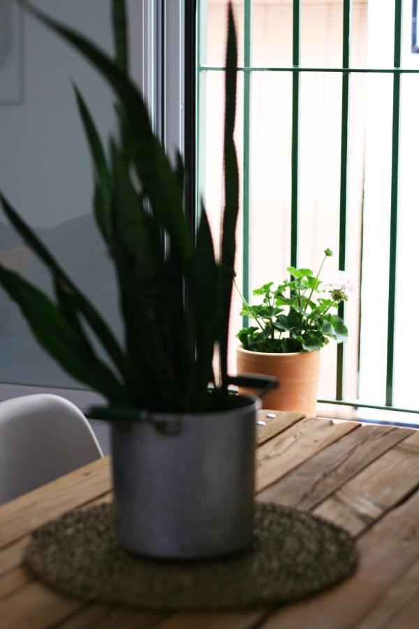 Apartamento Ideal Estancias Largas Y Teletrabajo Apartamento