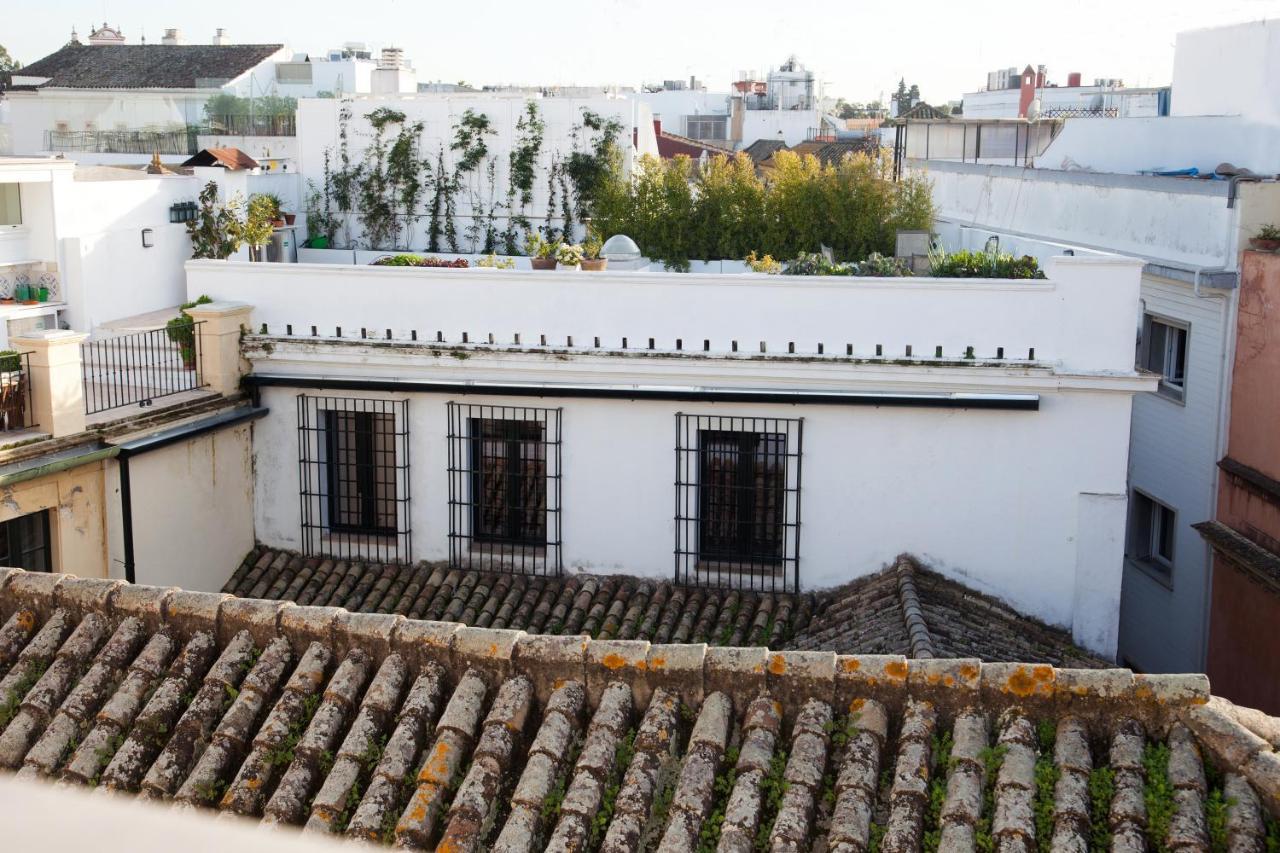 Apartment Guzman El Bueno *