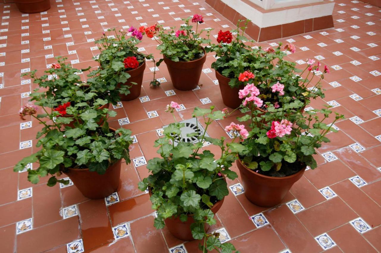 Cruces Apartment Seville
