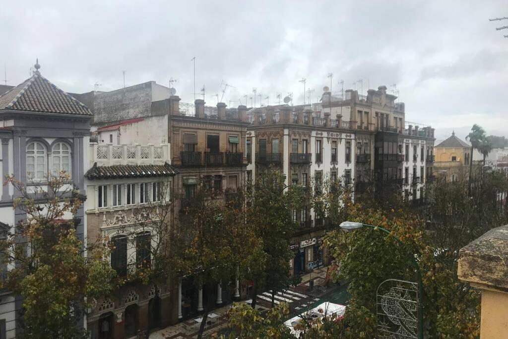 Apartment San Roque- Street Lecha Marzo