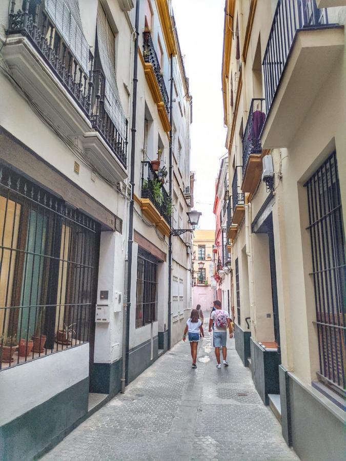 Cuarta Revuelta Alquiler * Seville