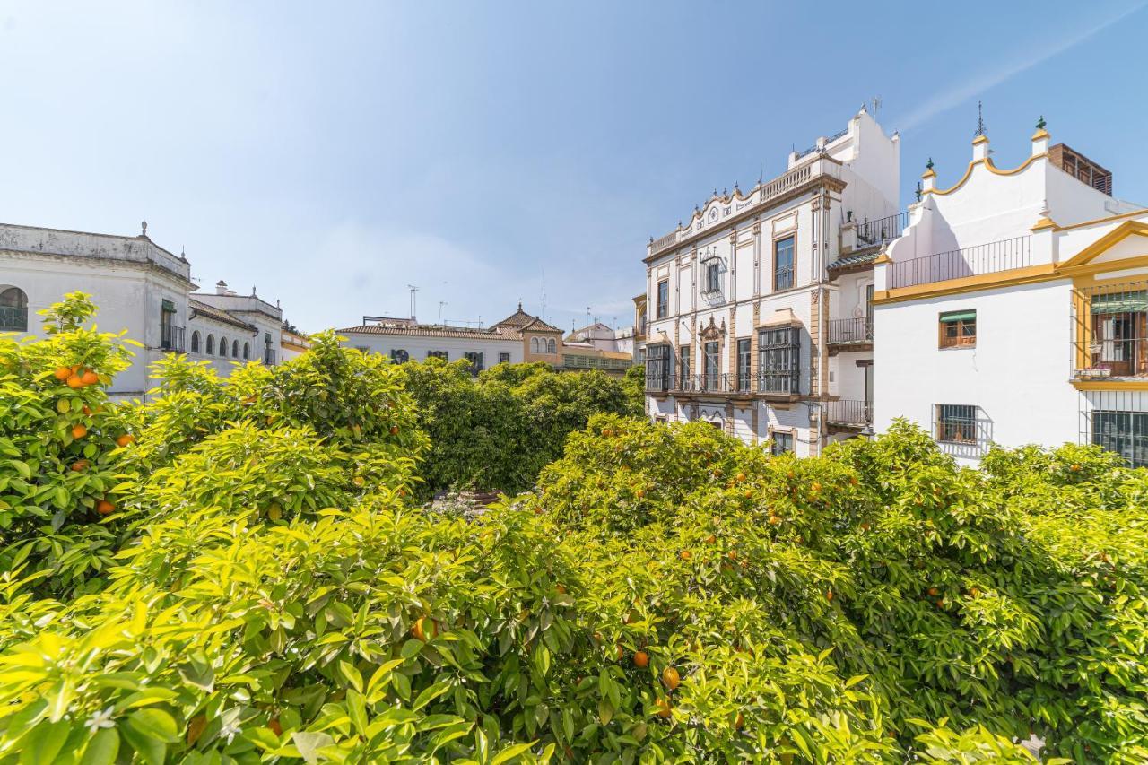 Rey Don Pedro Luxury Seville