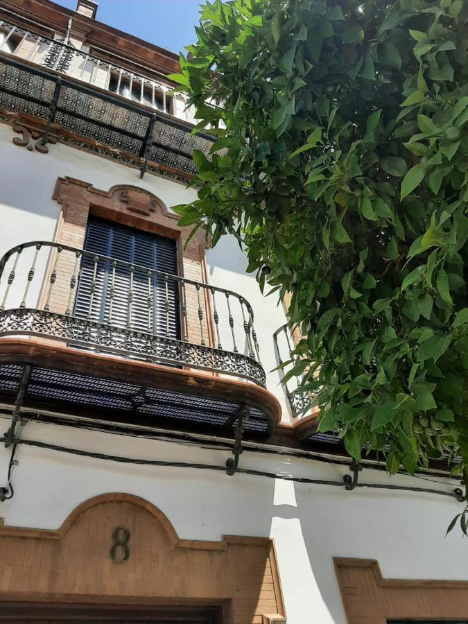 'suite Magallanes' Apartamento Cool En El Verdadero Centro De Apartamento *