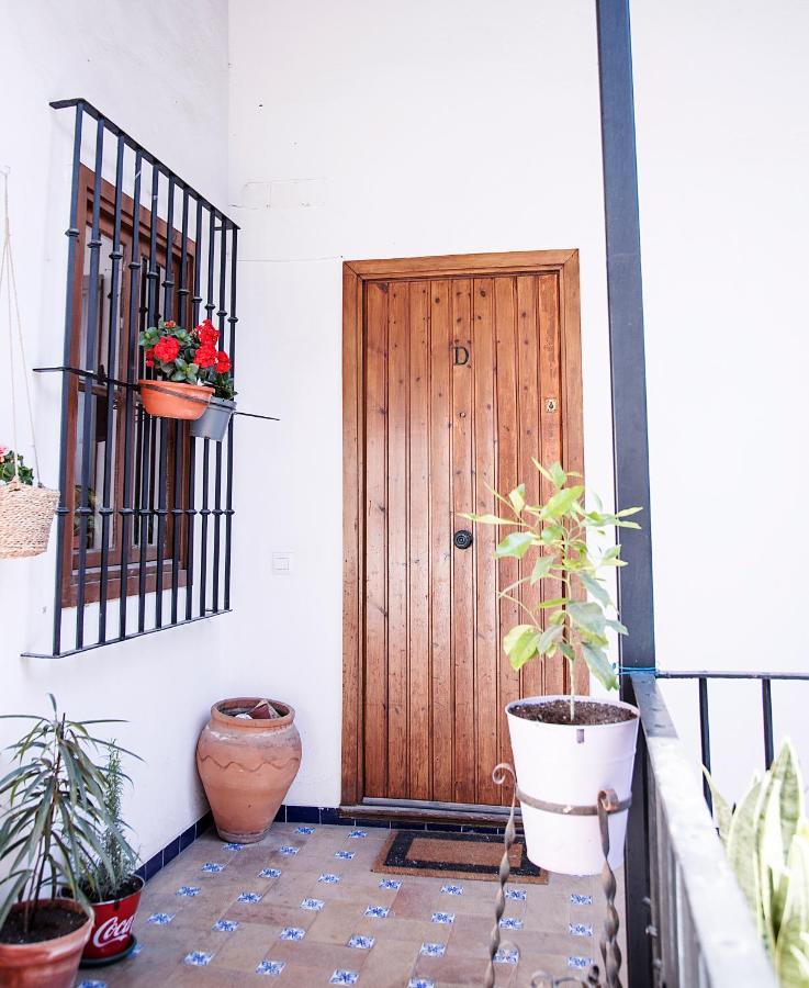 Rentalsevilla Galera * Seville