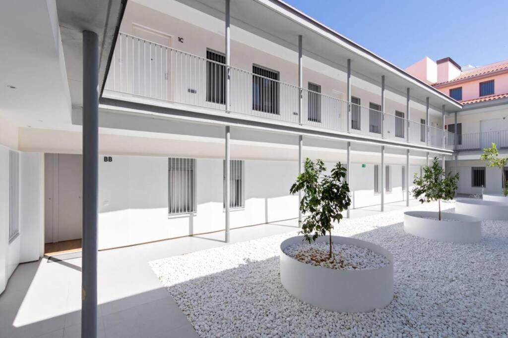 Apartment Triana Pages Oasis By Valcambre Seville