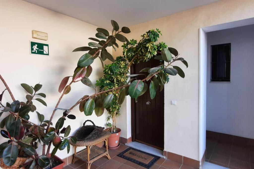 Triplex Penthouse - City Centre - Atico Con Jacuzzi Y Terraza Privados Seville