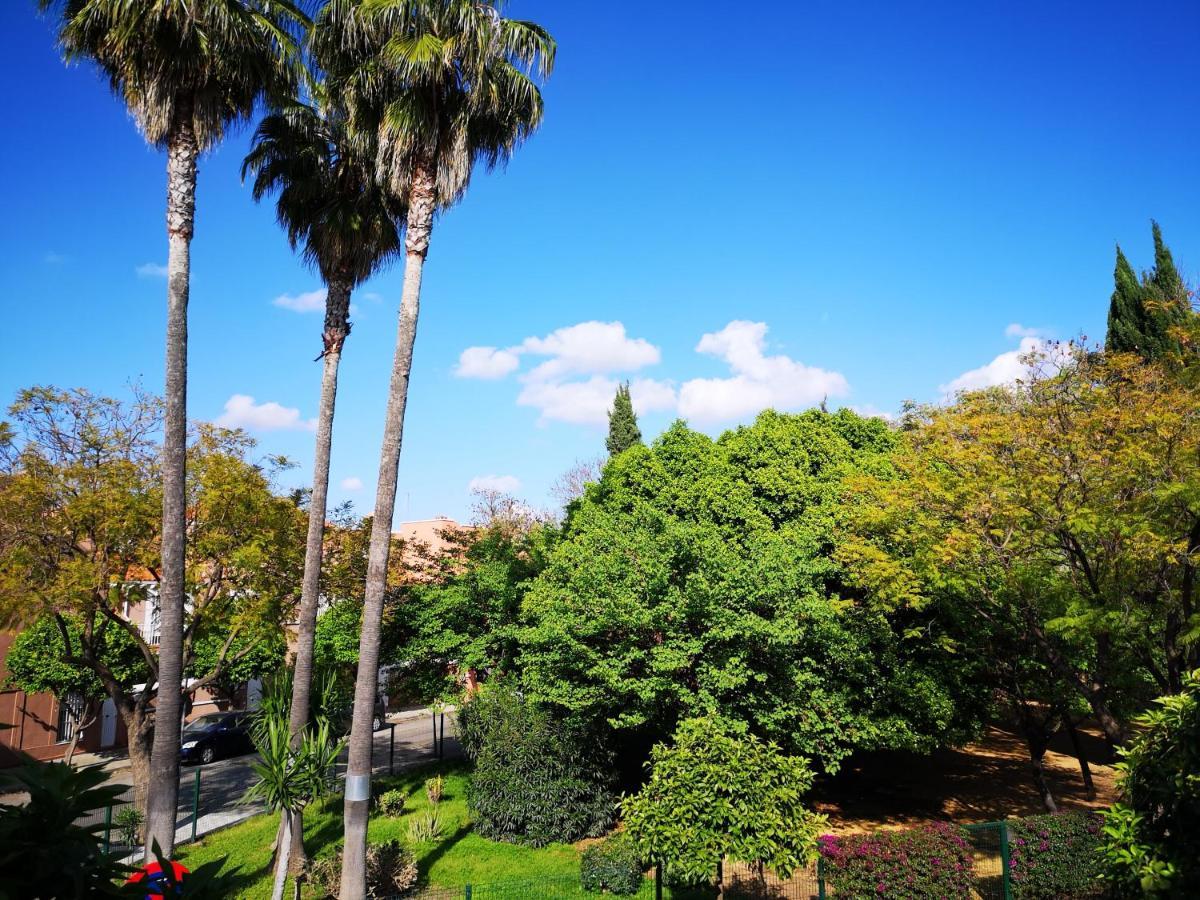 Bright Modern Residencial - Single With Shared Bathroom Near Airport Homestay *