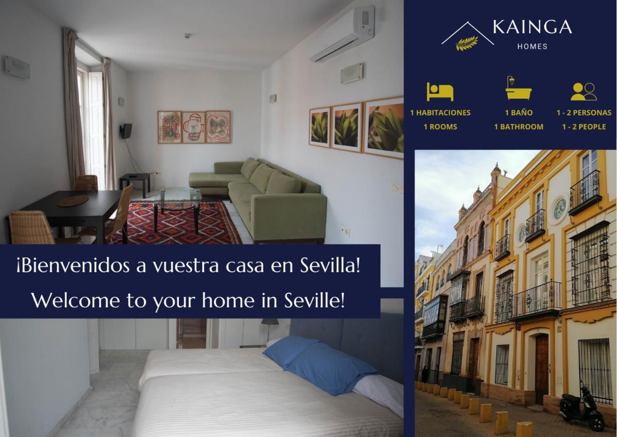 Kainga Homes - Apartamentos Santa Ana Apartment *