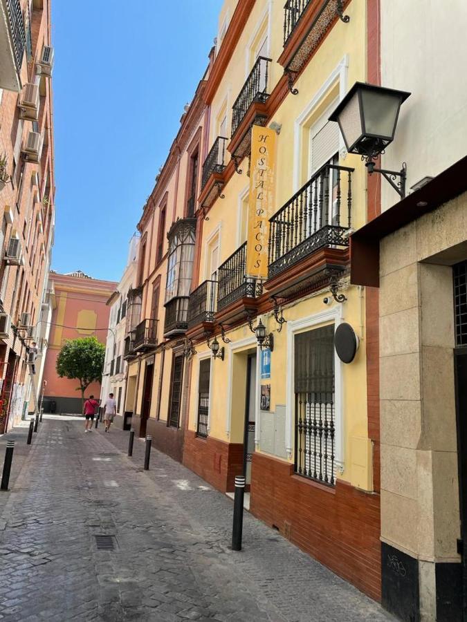 Guest house Paco's 5*
