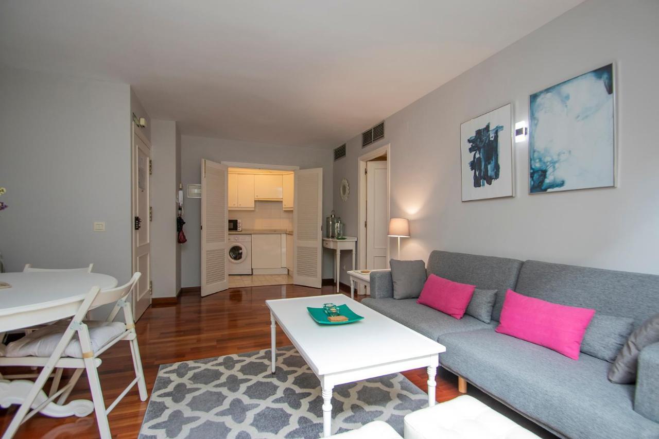 Apartment Maravilloso Apart. Tranquilo, Luminoso Y Centrico. A/A-Wifi