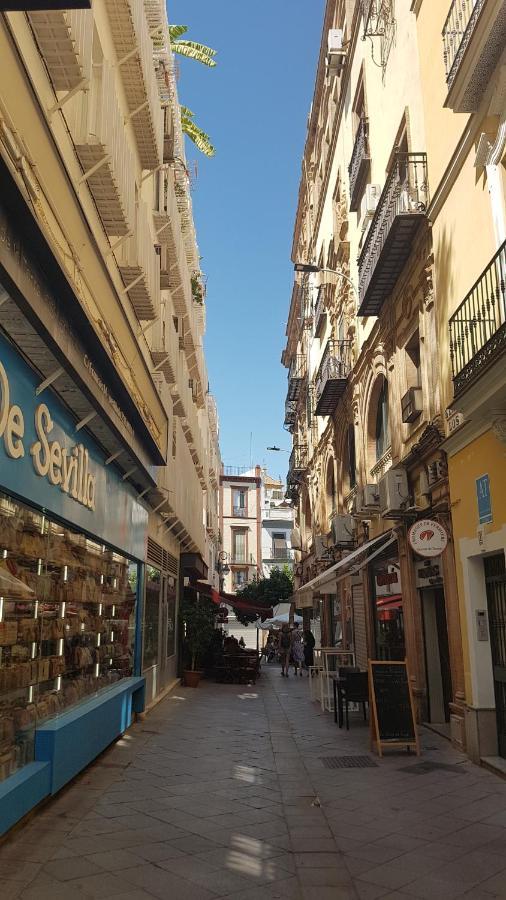 Loft Con Encanto En Casa Palacio Junto Catedral Wifi Seville