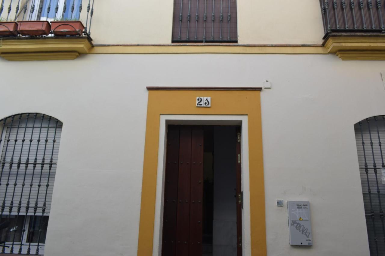 Lira Donkey Apartment Seville