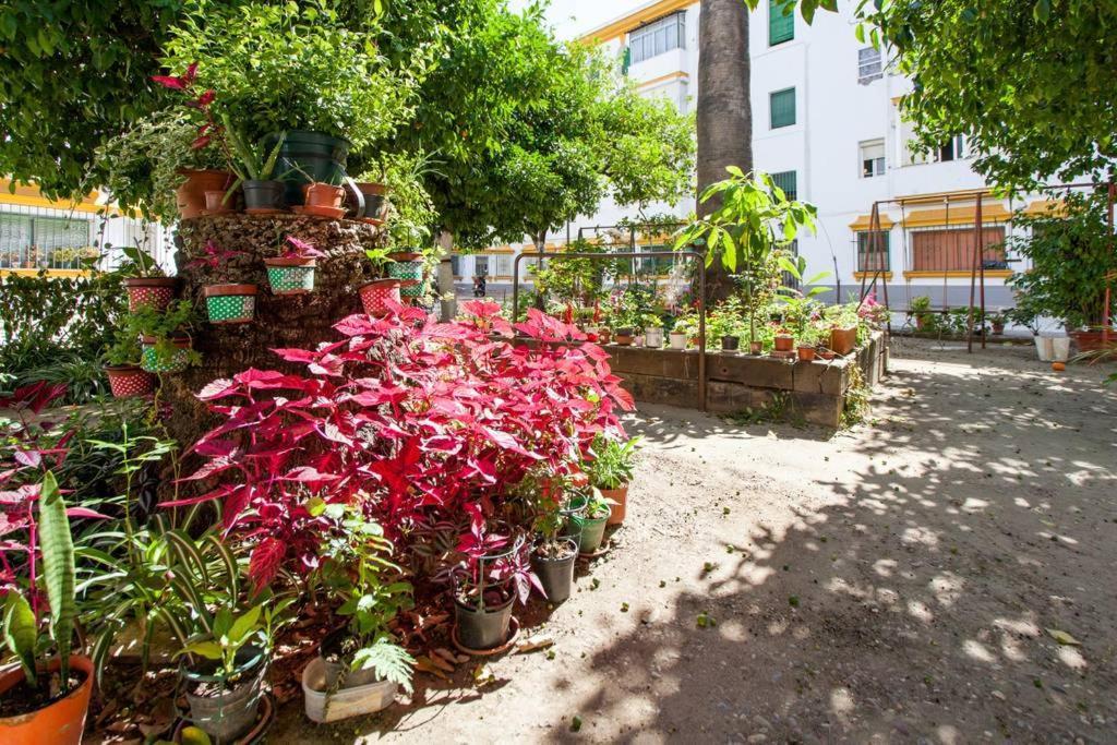A Pies Del Alcazar Apartment