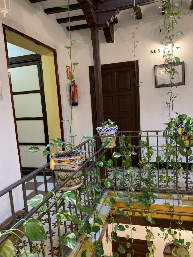 Lisdos Guest house *