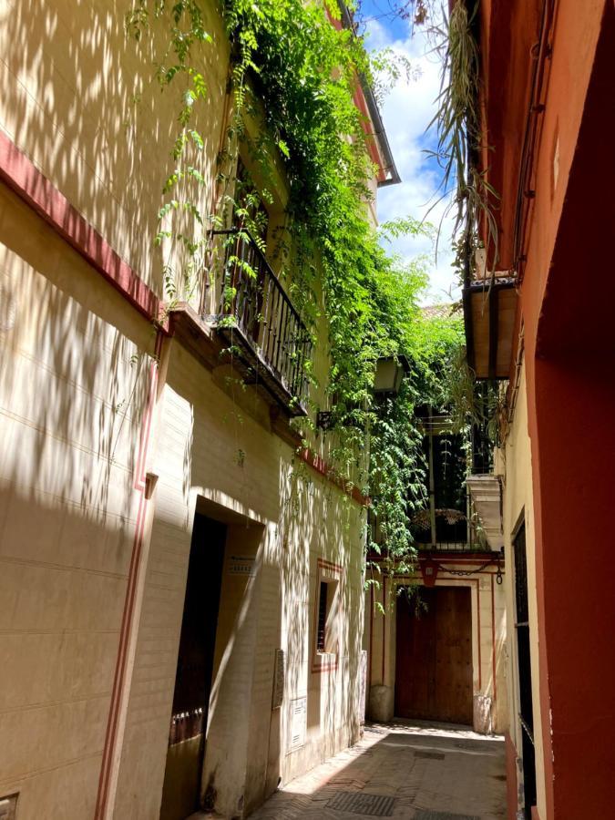 Apartment Acogedor 8pax 4bdr 2bth - Cozyhomesevilla1 Seville