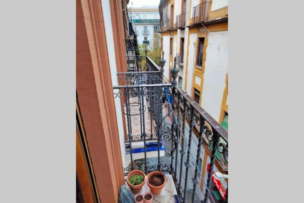 Apartment Santa Cruz Seville