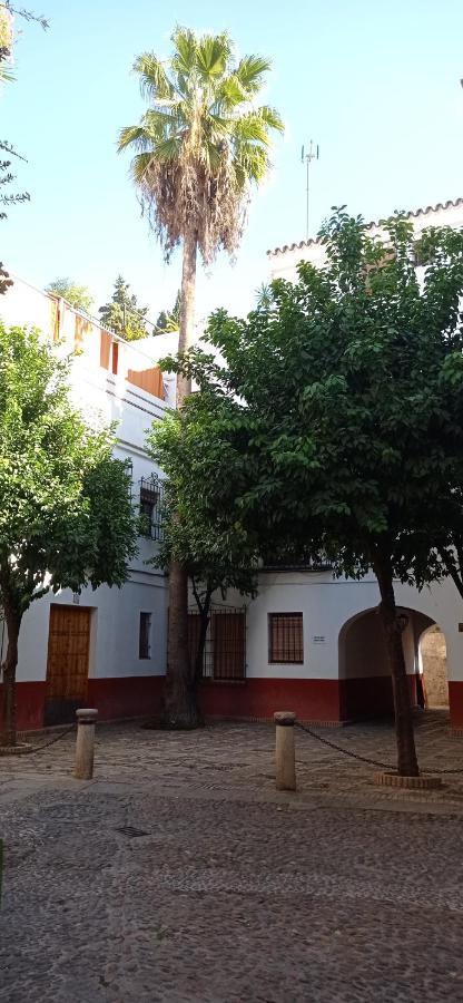 Apartamento Santa Cruz 3 Seville