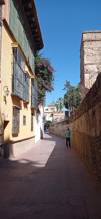 Apartamento Santa Cruz 3 Seville