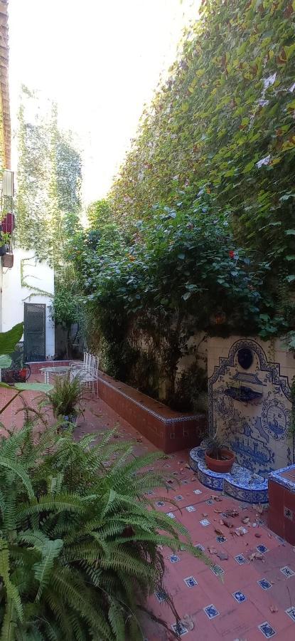 Apartamento Santa Cruz 3