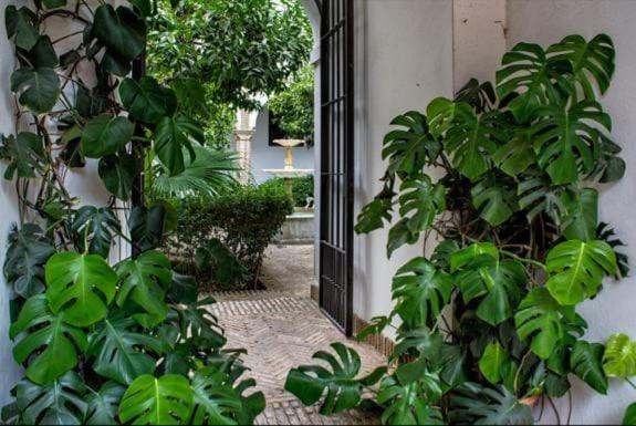 Apartment De Dos En Plaza Alfaro Seville