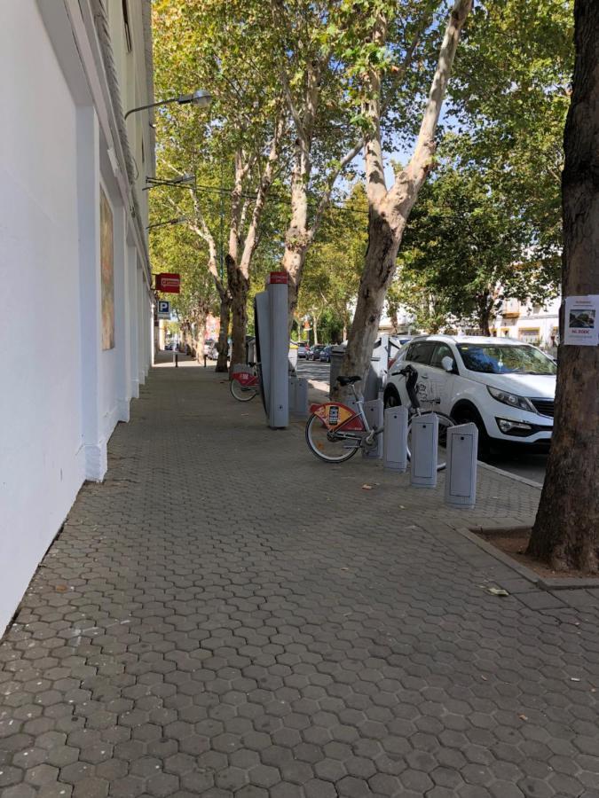 1 Y Salon Con Sofa Cama Bien Comunicado Con El Centro Seville