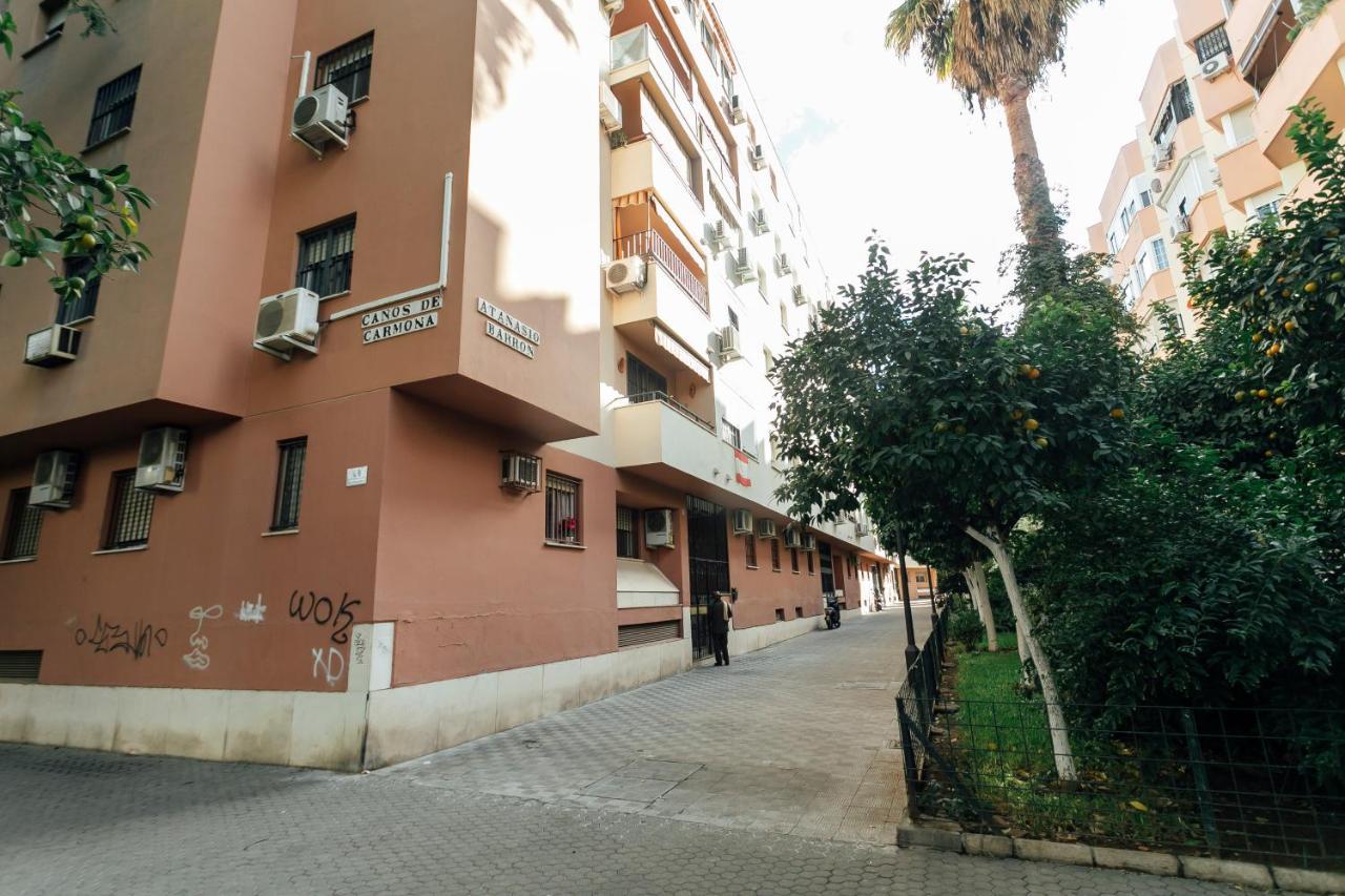 Alohamundi Florida Seville