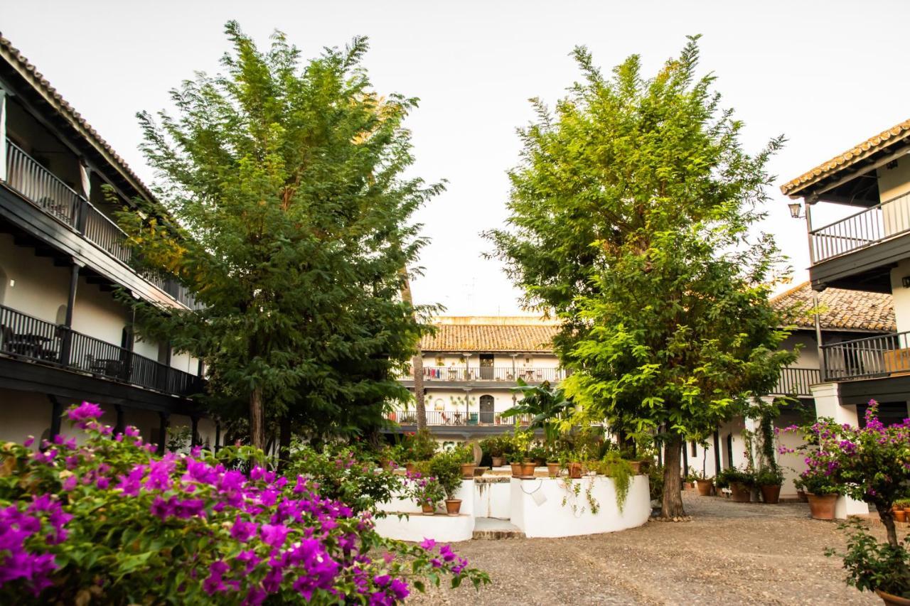 New In Traditional Building Of The Xvi Century Apartment Seville