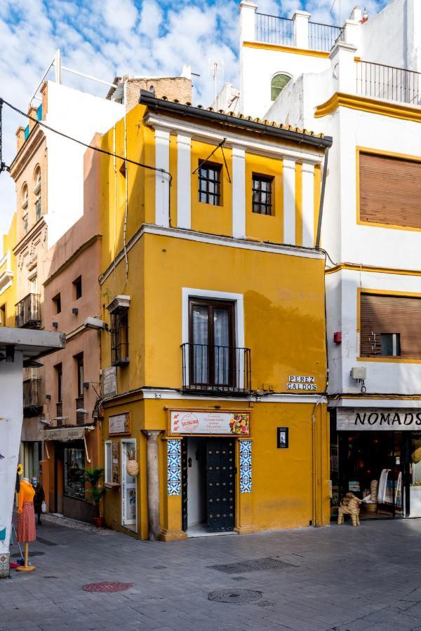 Casa Ispal Alfalfa *