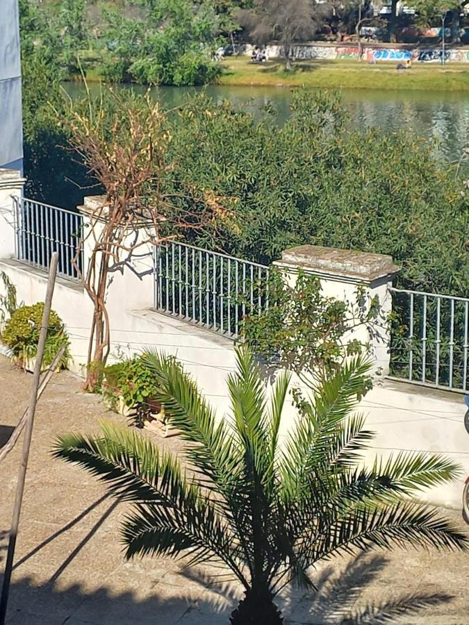 Charming House In Triana,best View From Patio Seville