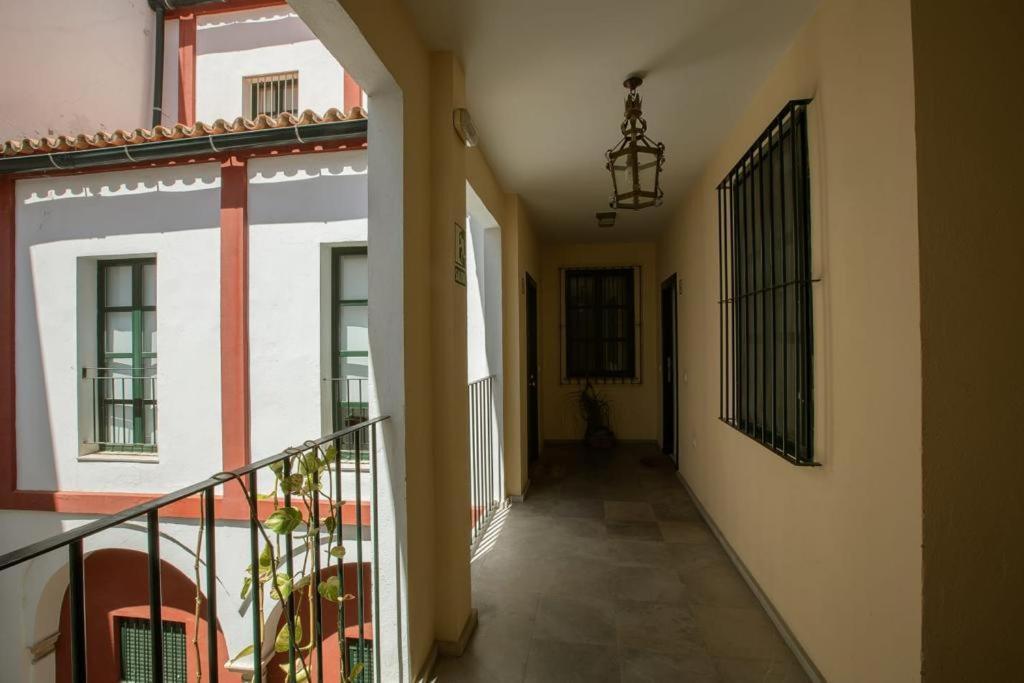 Vidrio Deluxe * Seville