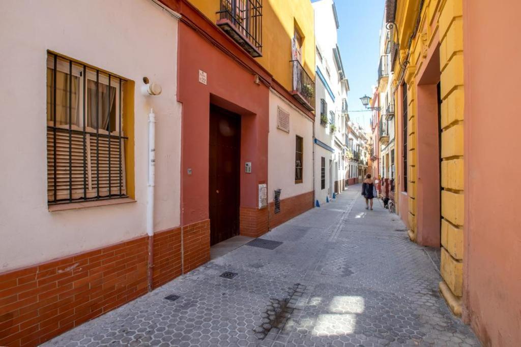 Vidrio Deluxe * Seville