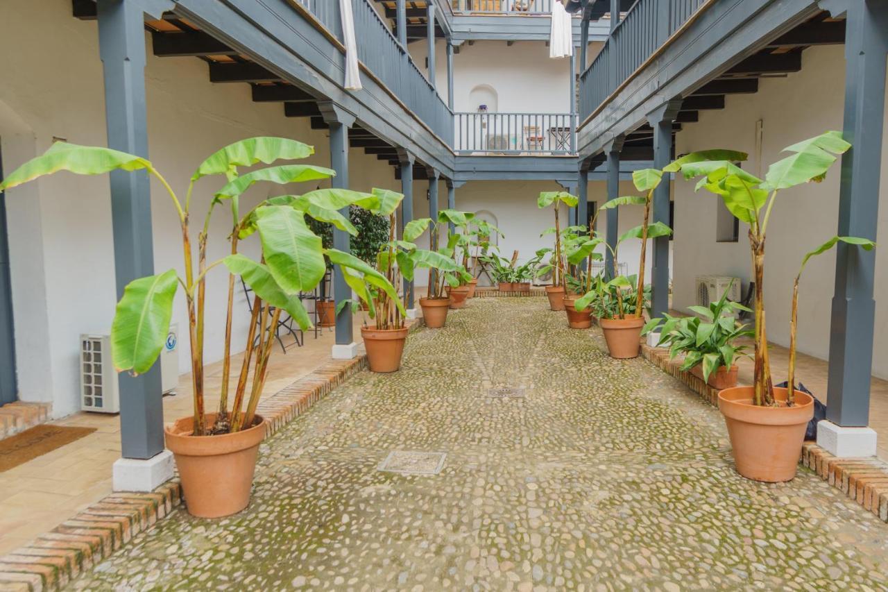 Apartment Earl's Farmyard Seville
