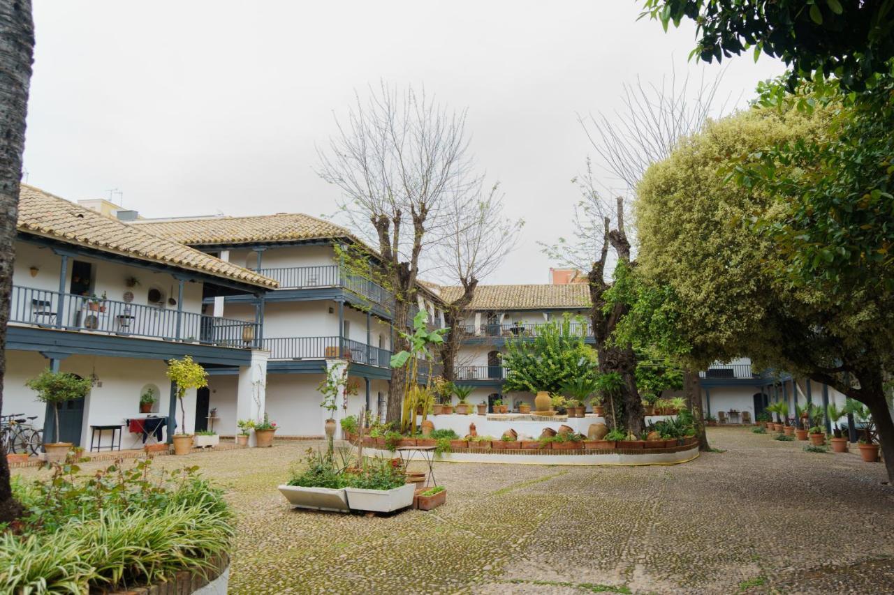 Earl's Farmyard * Seville