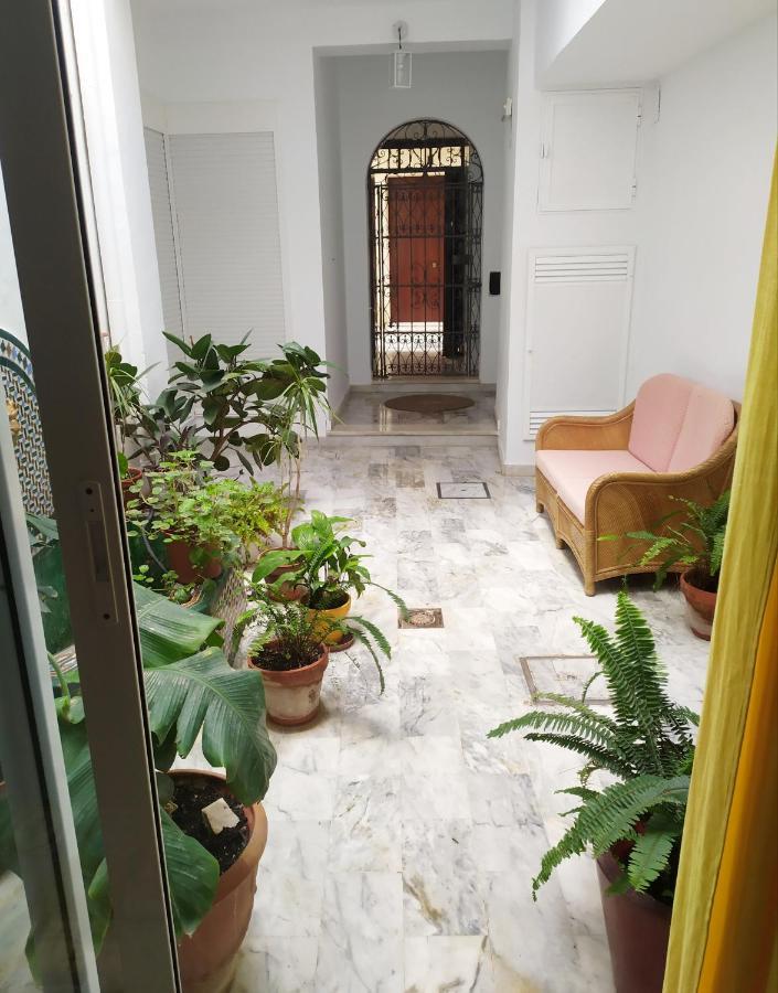 Apartamento Rentalsevilla Rentalsevilla Moderno Apartamento En El Centro Con Patio