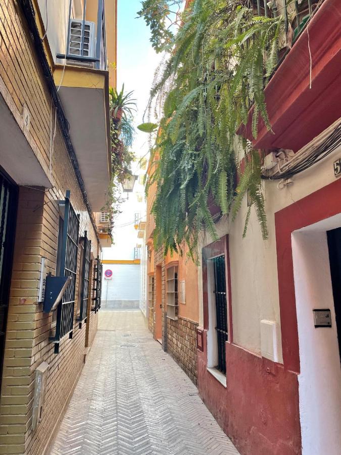 Barrio De Santa Cruz, La Juderia. Zona Inmejorable Apartment Seville