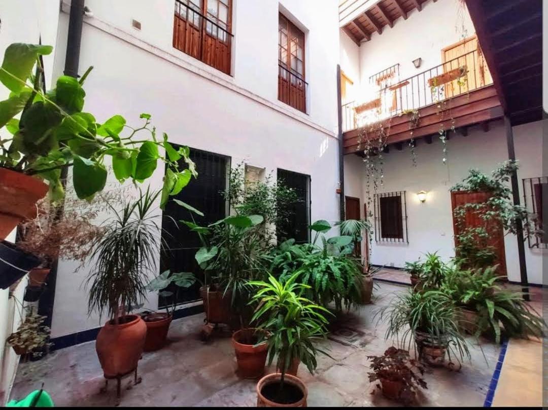 Coco Urban Apartment Seville