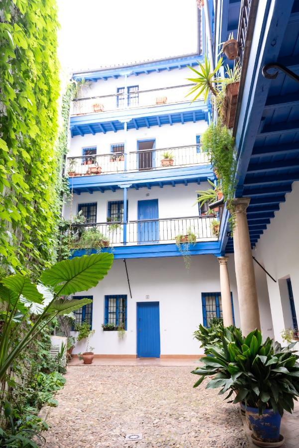Apartment Tourist House Santa Cruz *