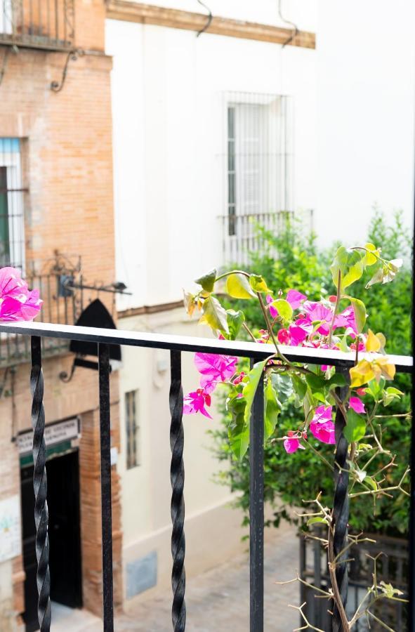 Apartment Tourist House Santa Cruz Seville