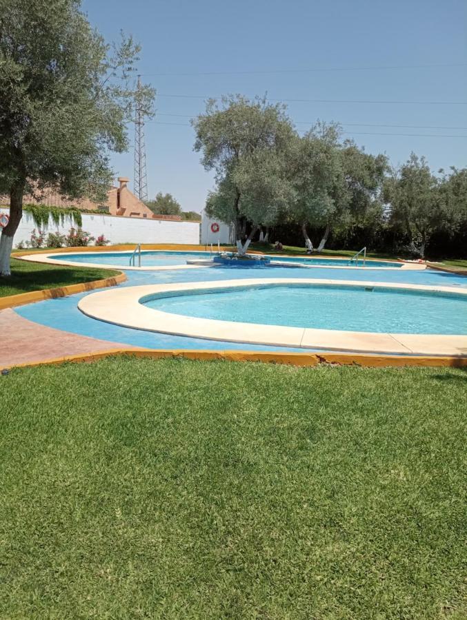 Brisas Vip Valencina De La Concepcion Apartment