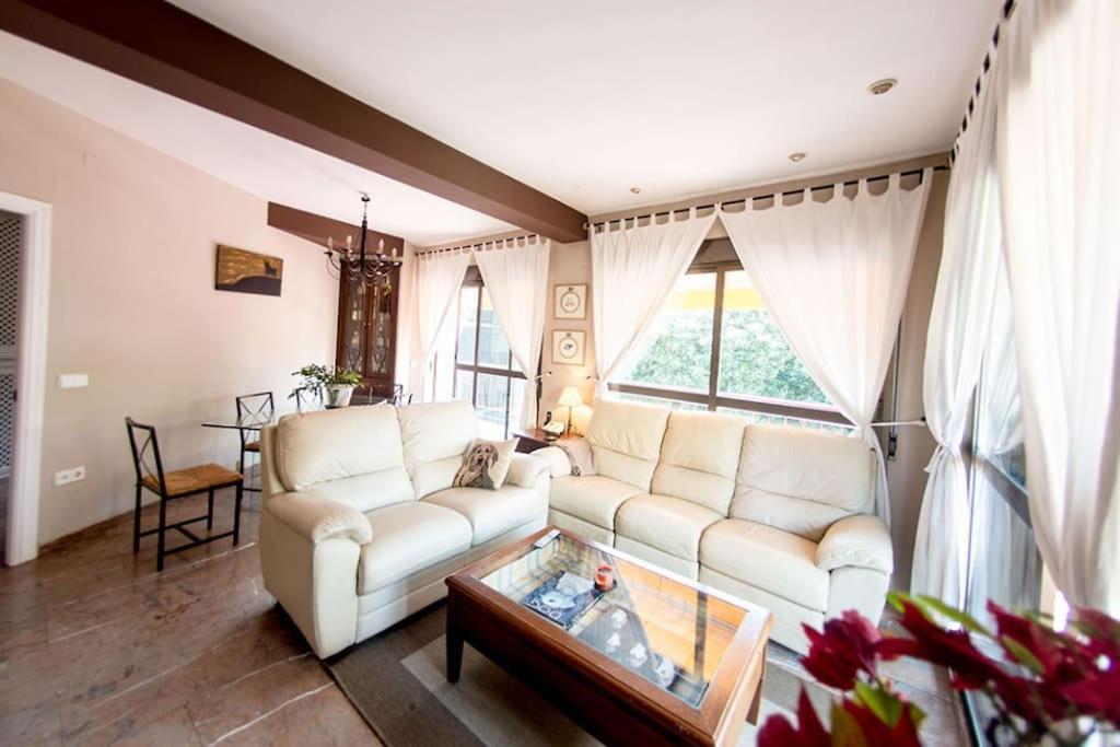Penthouse!!! Center Of Seville!!! 2 Bedroom + 2 Bath!!! Seville