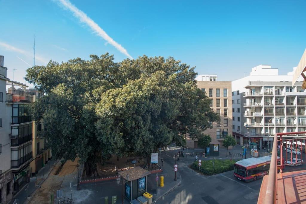Penthouse!!! Center Of Seville!!! 2 Bedroom + 2 Bath!!! * Seville