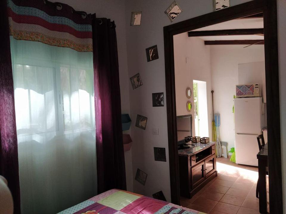 Apartment Abba