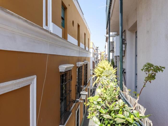 Apartment San Vicente -oasis De Paz En El Corazon De 3 Hab - 2 Banos Wifi Ac