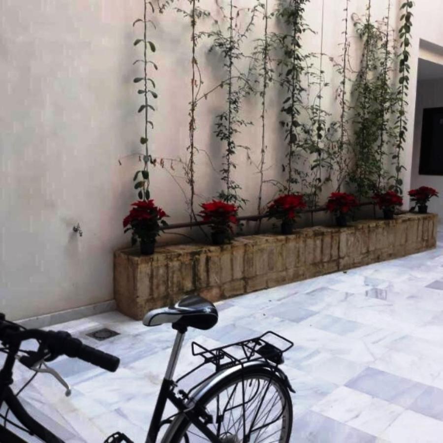 Estudio En Pleno Centro De By Msholidays Apartment