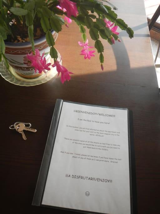 Penthouse!!! Center Of Seville!!! 2 Bedroom + 2 Bath!!! Apartment Seville