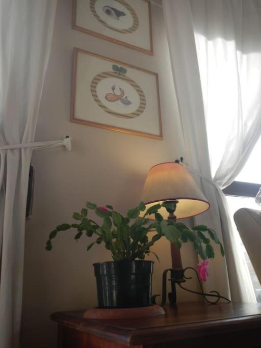 Penthouse!!! Center Of Seville!!! 2 Bedroom + 2 Bath!!! * Seville