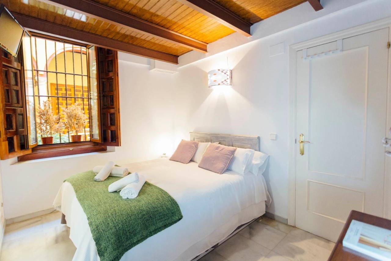 Apartment One & Lux- Plaza Cristo De Burgos